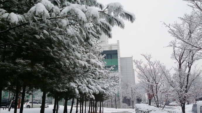 융기원 겨울 풍경 3
